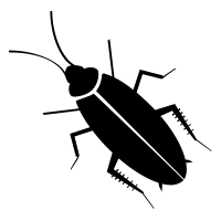 Roaches Pest Control Corpus Christi