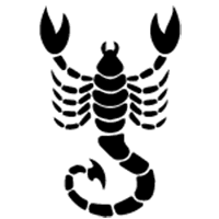 Scorpions Pest Control Corpus Christi